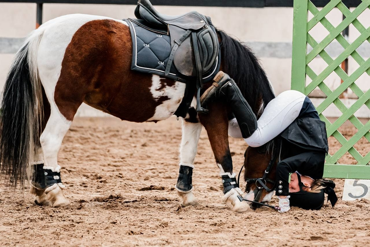 ОСЕННИЙ КУБОК КСК «СОЗВЕЗДИЕ» по КОНКУРУ. Конный фотограф Куракина Дарья • Фотосессии с лошадьми