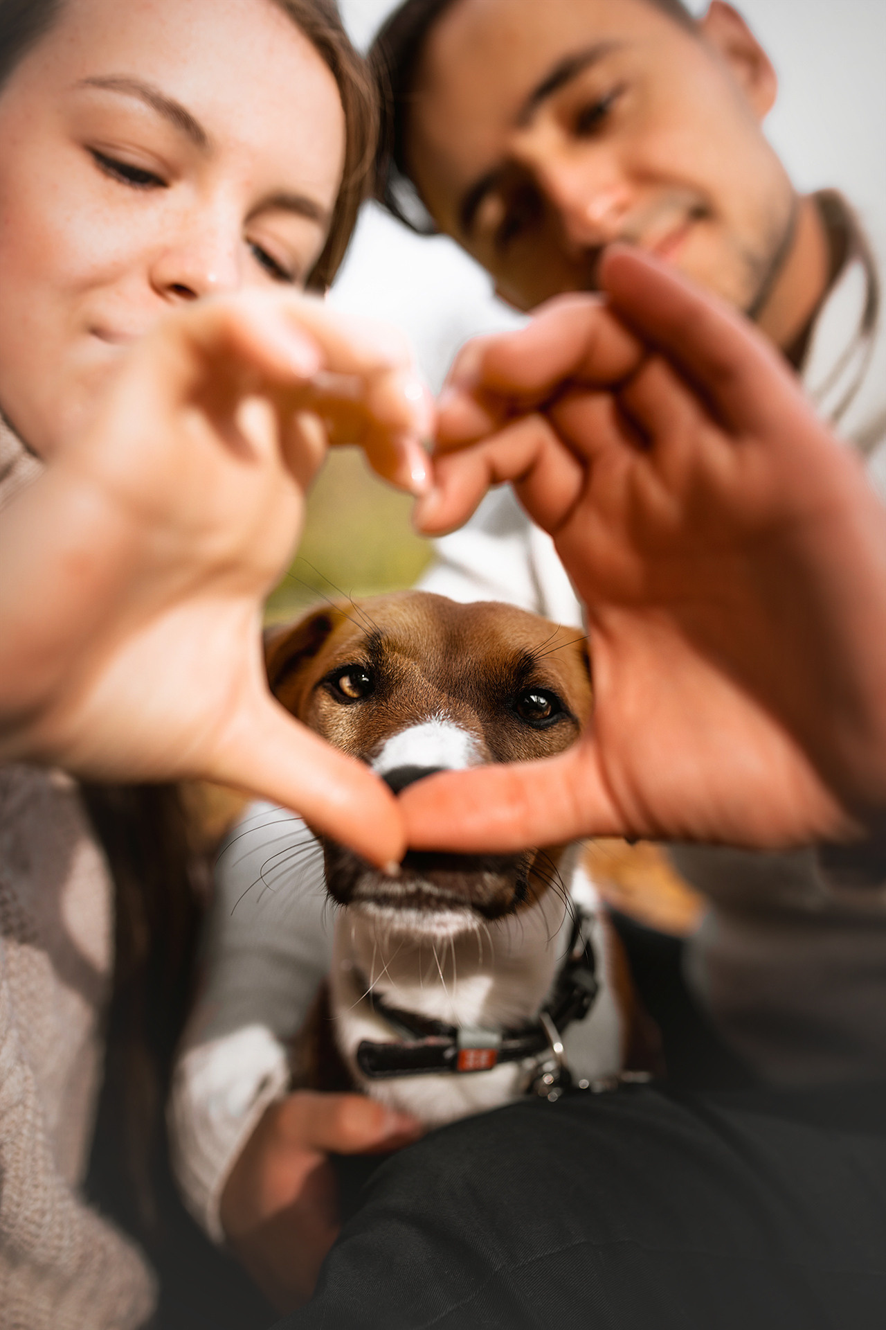Ребята и Бумер. Фотограф-анималист • love-story • Санкт-Петербург