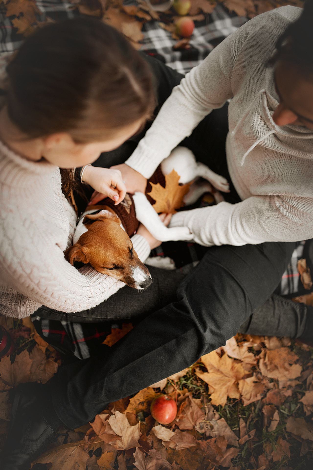 Ребята и Бумер. Фотограф-анималист • love-story • Санкт-Петербург