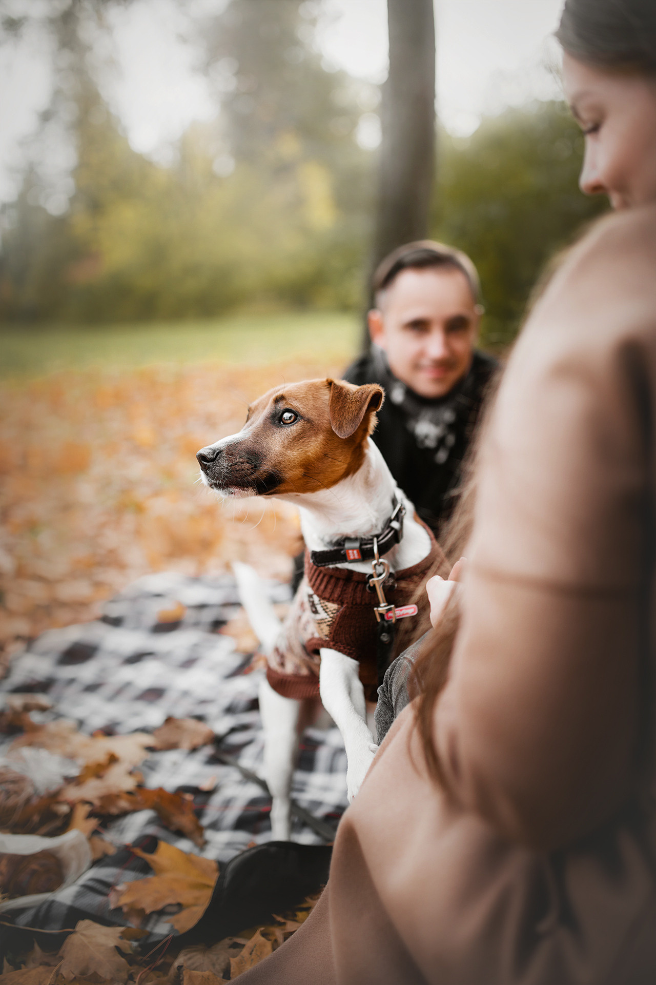 Ребята и Бумер. Фотограф-анималист • love-story • Санкт-Петербург