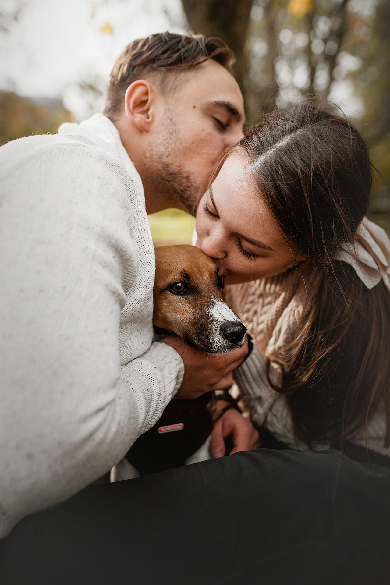 Ребята и Бумер. Фотограф-анималист • love-story • Санкт-Петербург