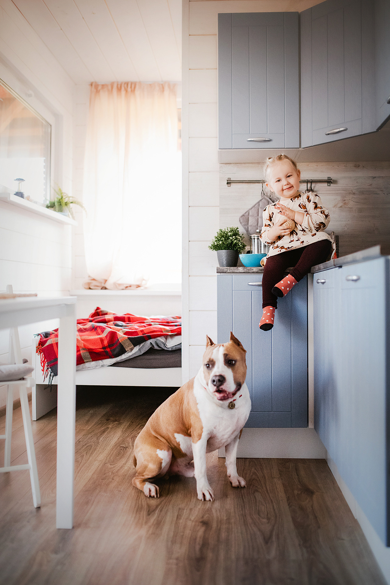 Семейная съёмка в загородном домике. Фотограф-анималист • love-story • Санкт-Петербург