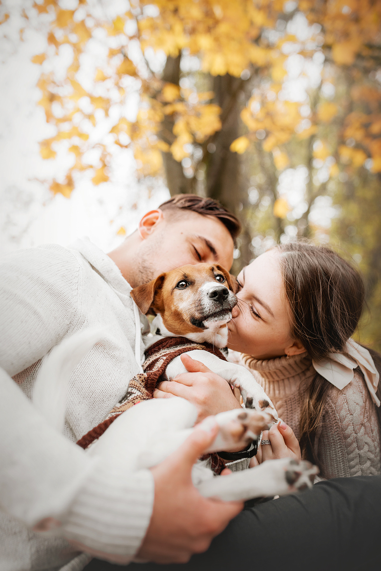 Ребята и Бумер. Фотограф-анималист • love-story • Санкт-Петербург