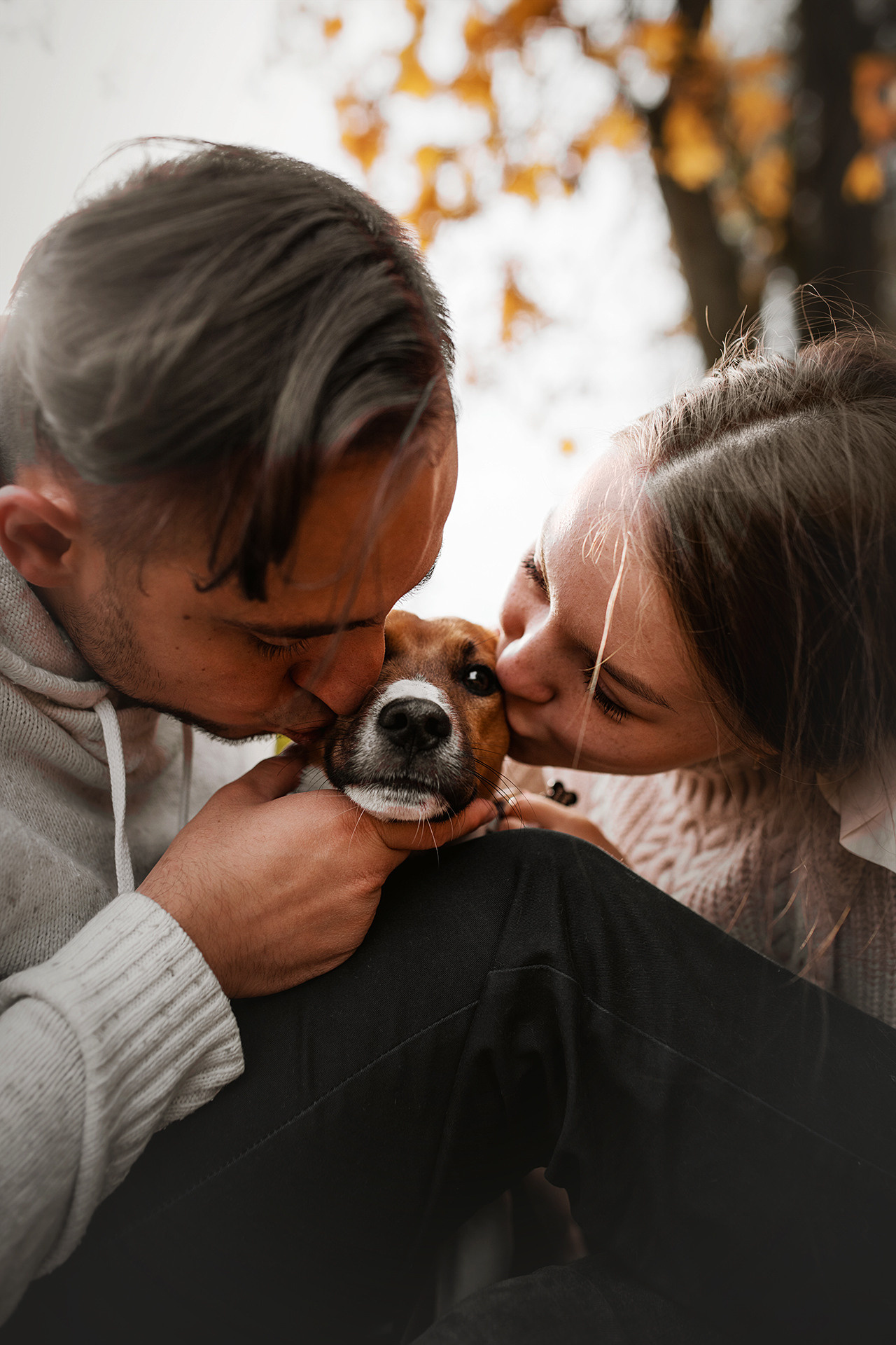 Ребята и Бумер. Фотограф-анималист • love-story • Санкт-Петербург