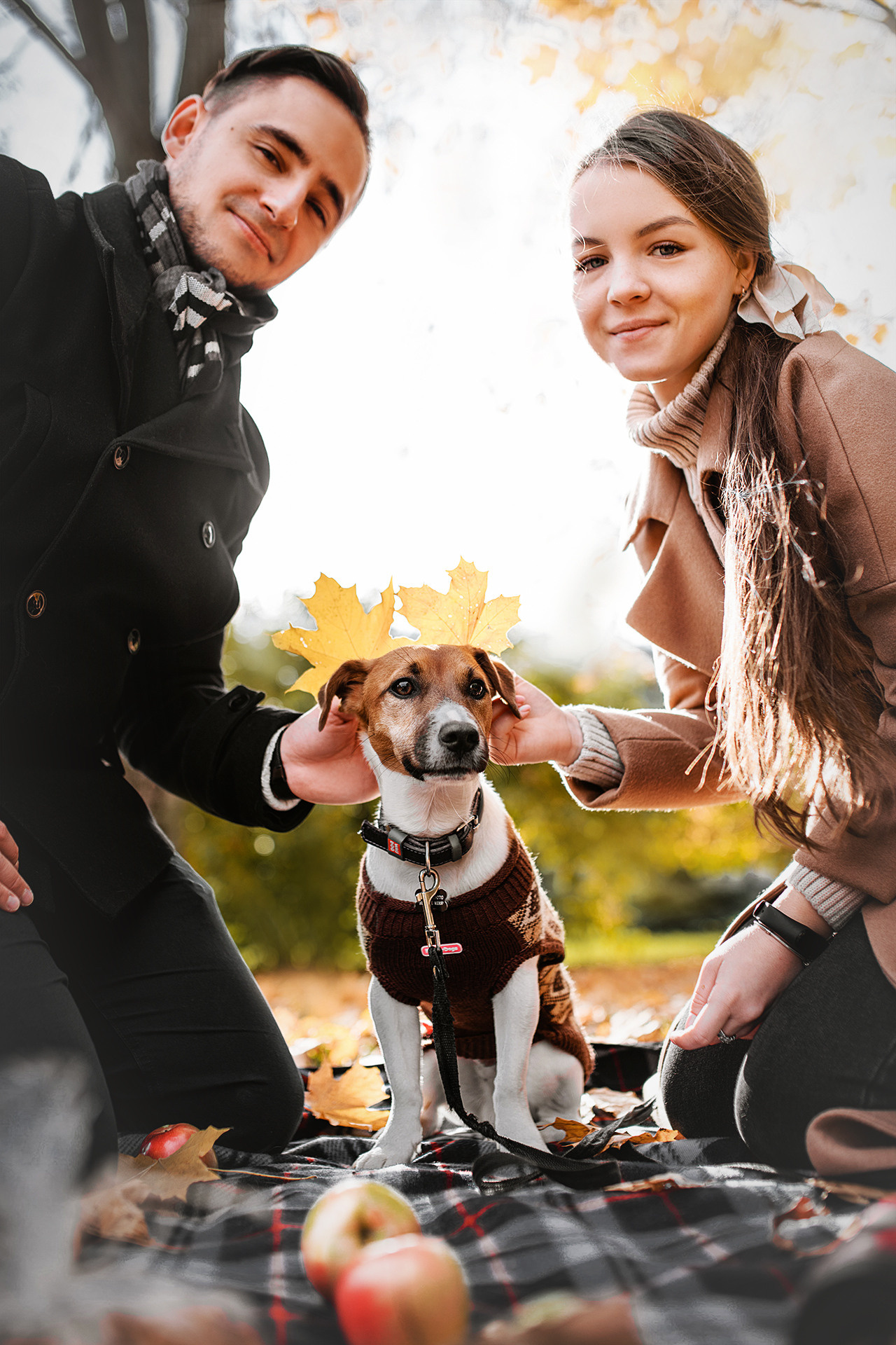 Ребята и Бумер. Фотограф-анималист • love-story • Санкт-Петербург