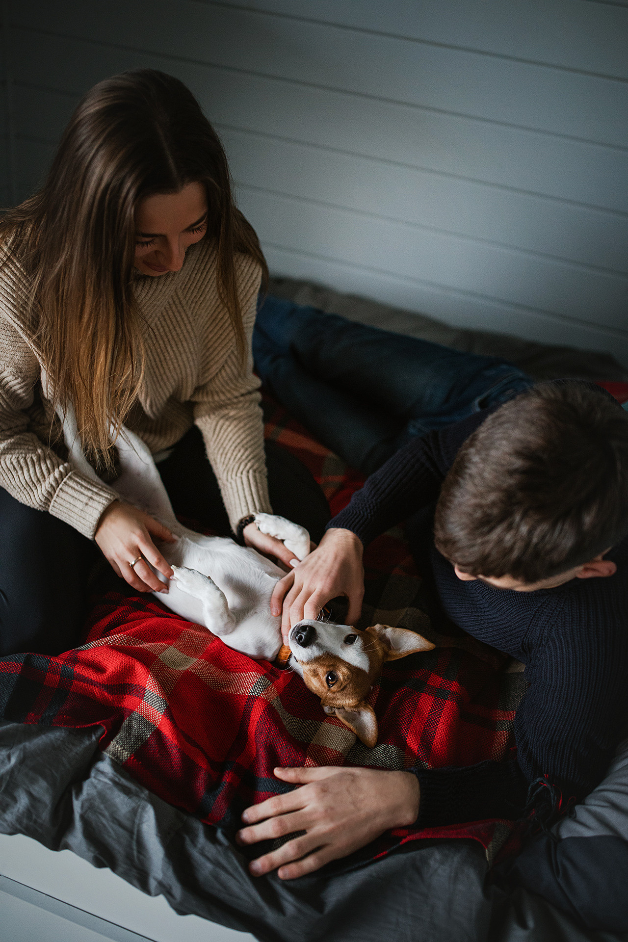 Лав-стори Насти и Ромы + джек рассел Рикси. Фотограф-анималист • love-story • Санкт-Петербург