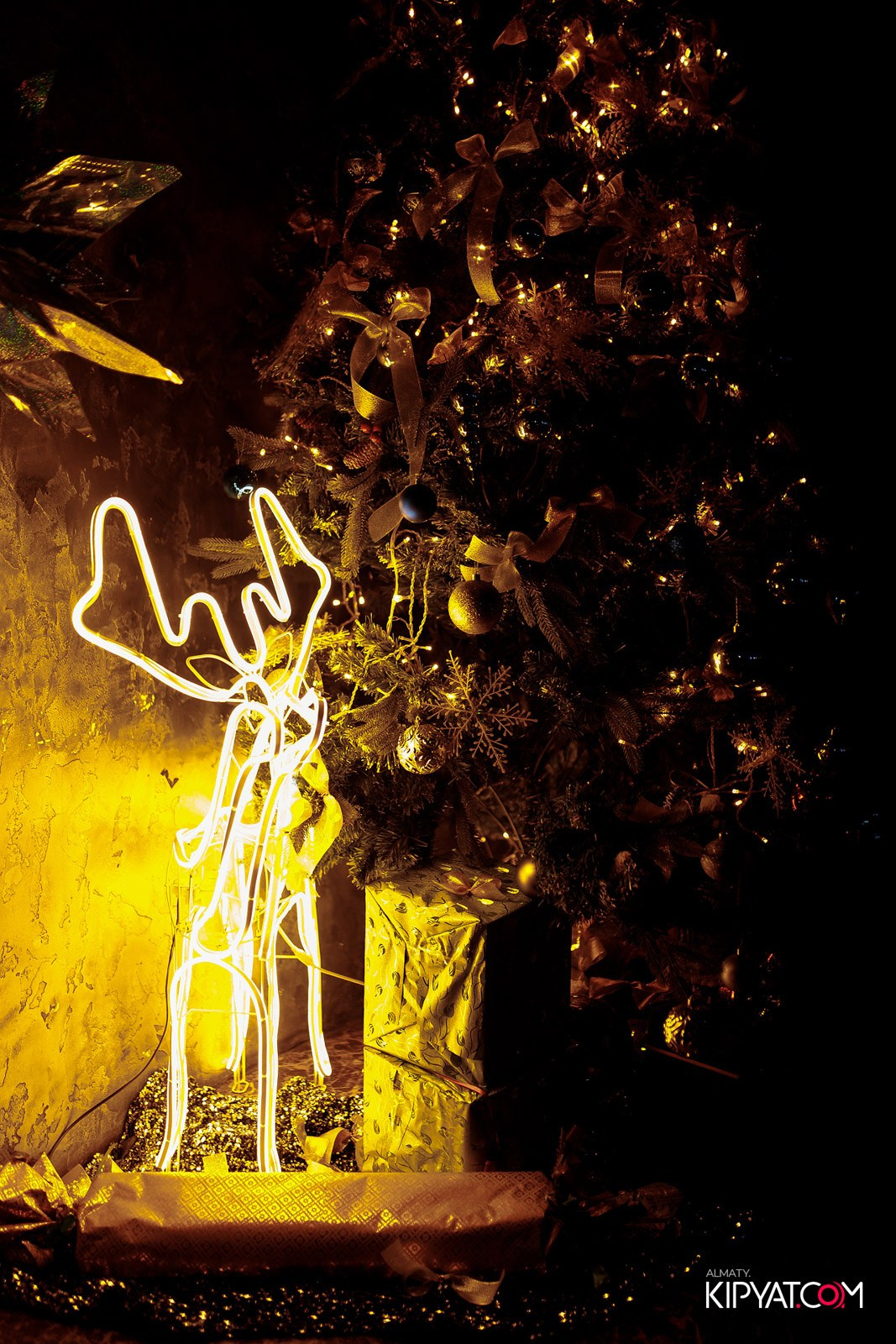 НАКАТИКА. КИПЯТКОМ АЛМАТЫ!