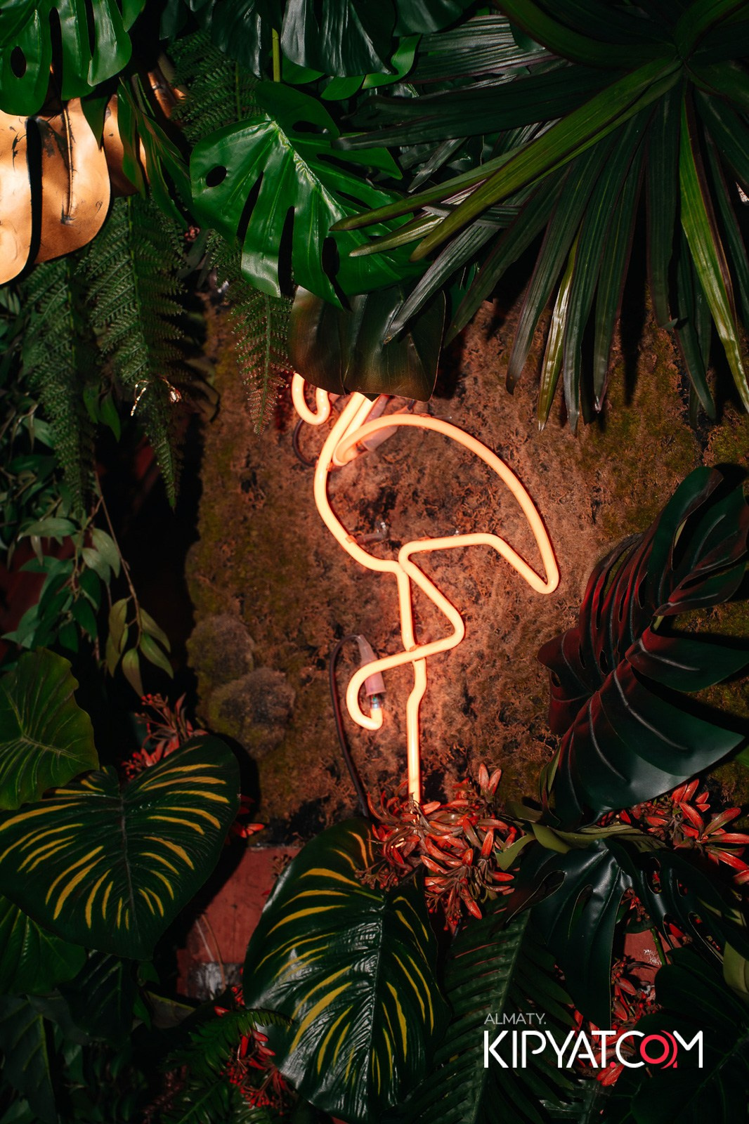 OLOVO НА САТПАЕВА. КИПЯТКОМ АЛМАТЫ!