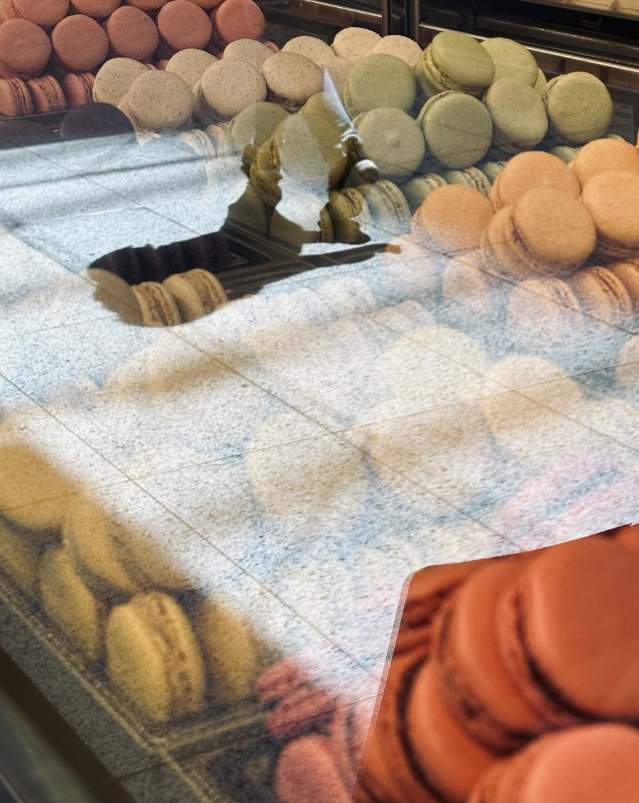 Paris. Фотограф в Москве