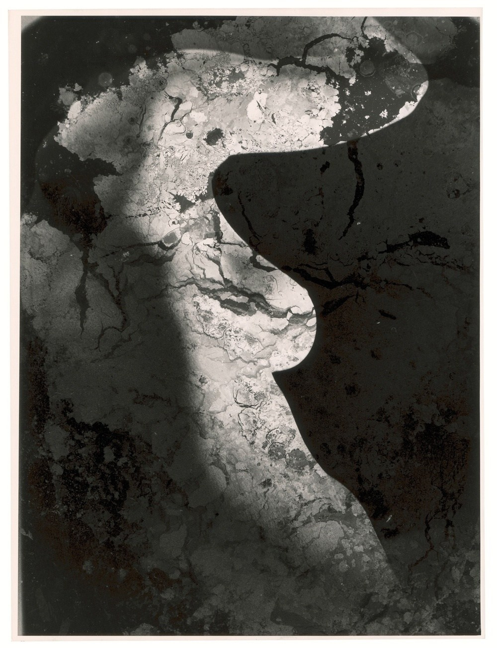 Хайнц Хайек-Хальке — немецкий фотограф-экспериментатор