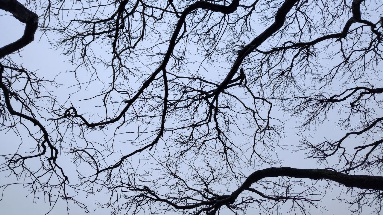 КУРС ПО ФОТО/ВИДЕО СЪЕМКЕ «СЧАСТЬЕ В ПРОСТОМ». Фотография. Визуально-чувственный мир души