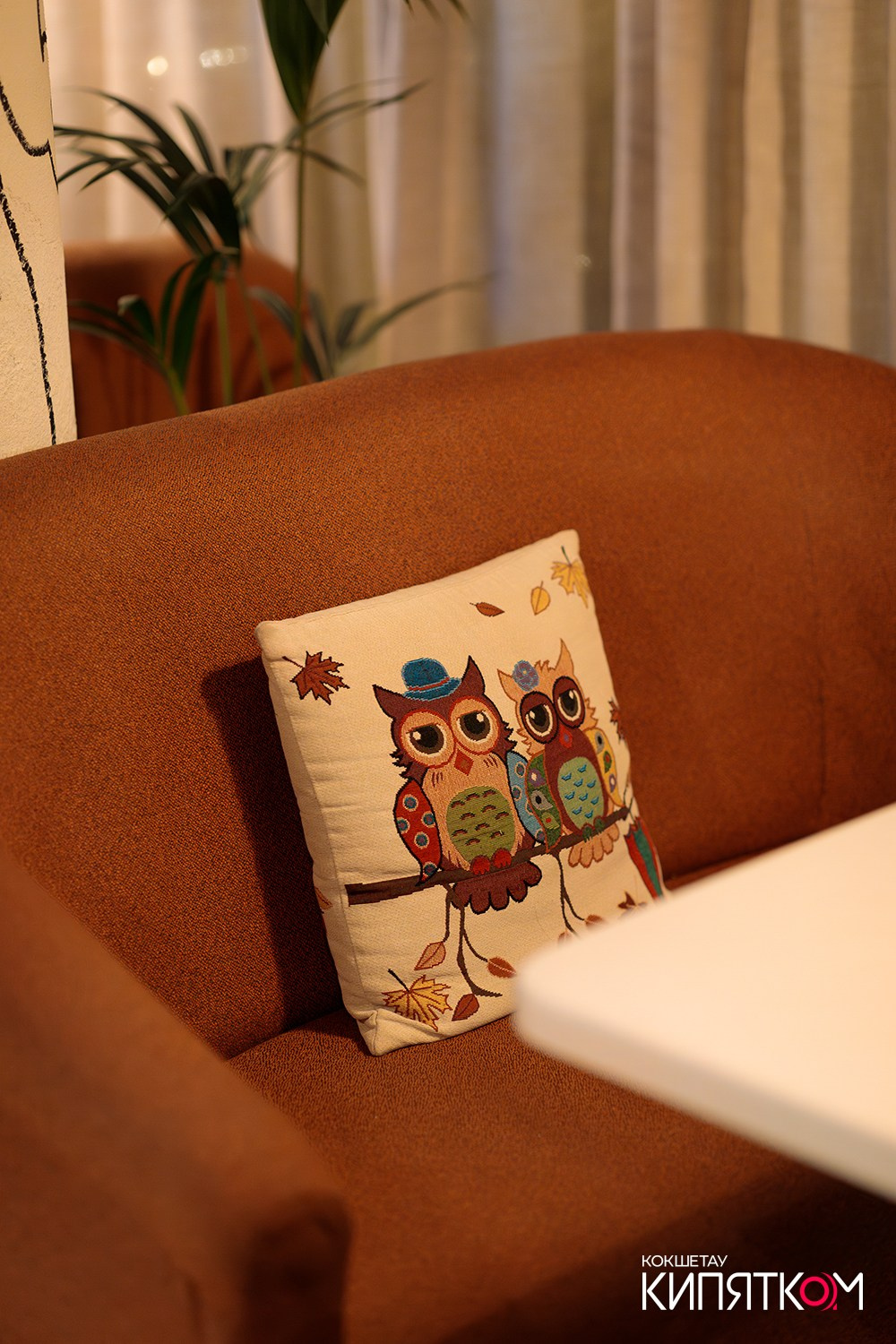 CAFFEIN / BEDDUIN. КИПЯТКОМ КОКШЕТАУ