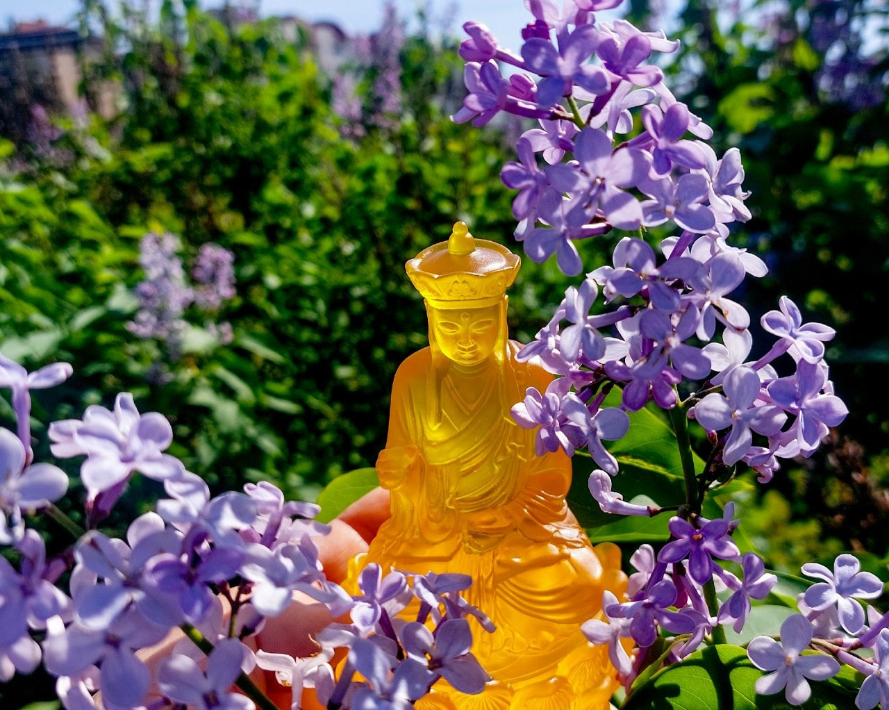 Kalmykia. The only Buddhist republic in Europe. Travel photographer Max Muze