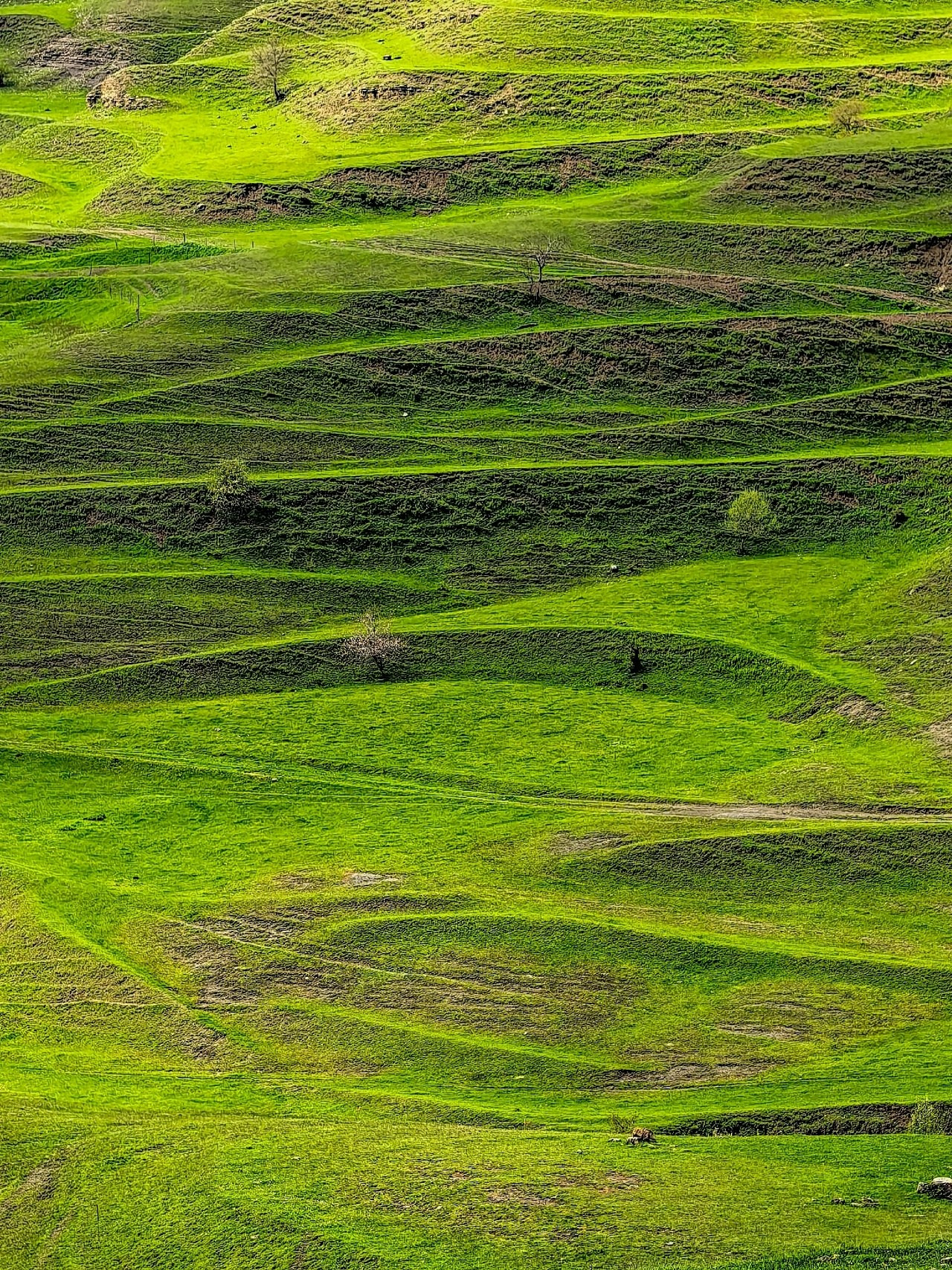 Dagestan. Life at Cloud Level. Travel photographer Max Muze
