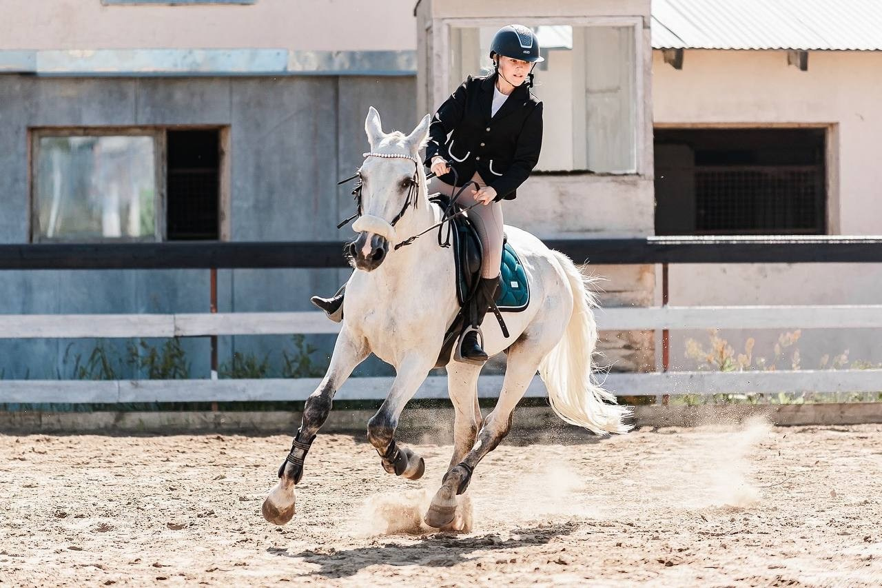 ЛЕТНИЙ КУБОК КСК «СОЗВЕЗДИЕ» по КОНКУРУ. Конный фотограф Куракина Дарья • Фотосессии с лошадьми