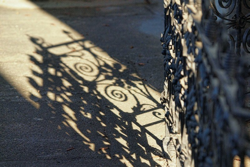 Австрия: Вена — Юденплатц и Центральной кладбище. Дарья Письменюк / Darya Leitstern — фотограф, музыкант, журналист, путешественник