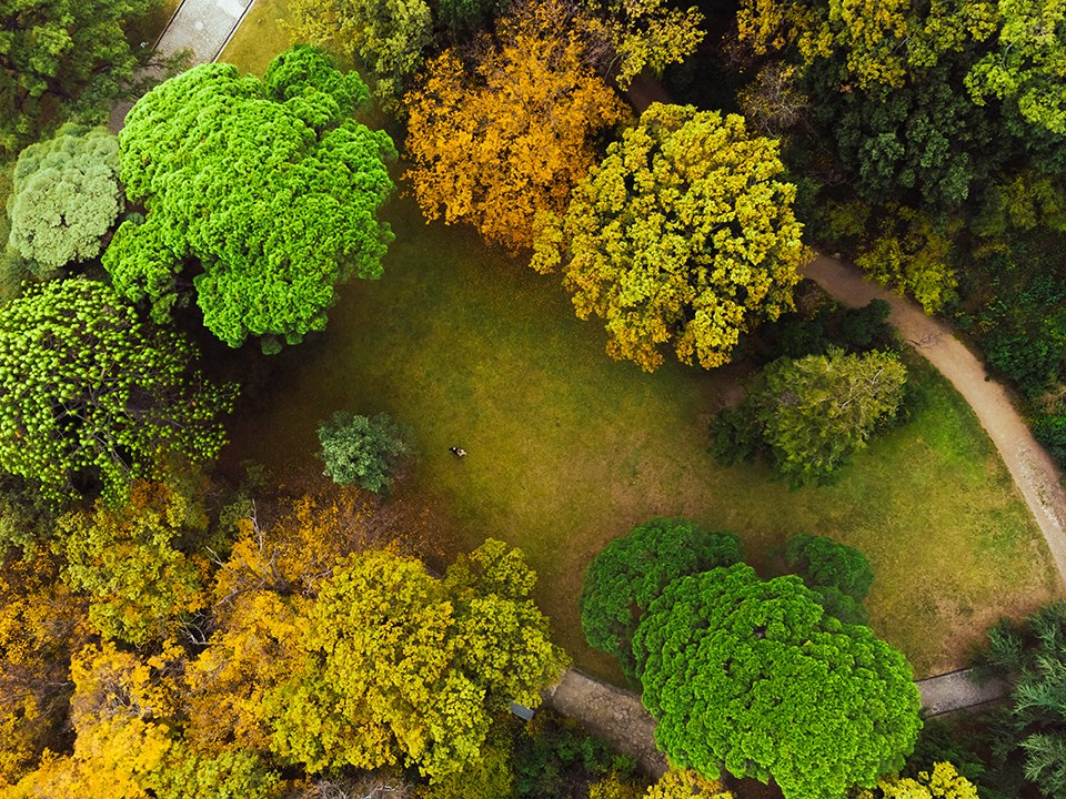 Осенняя прогулка. Семен Соколов
