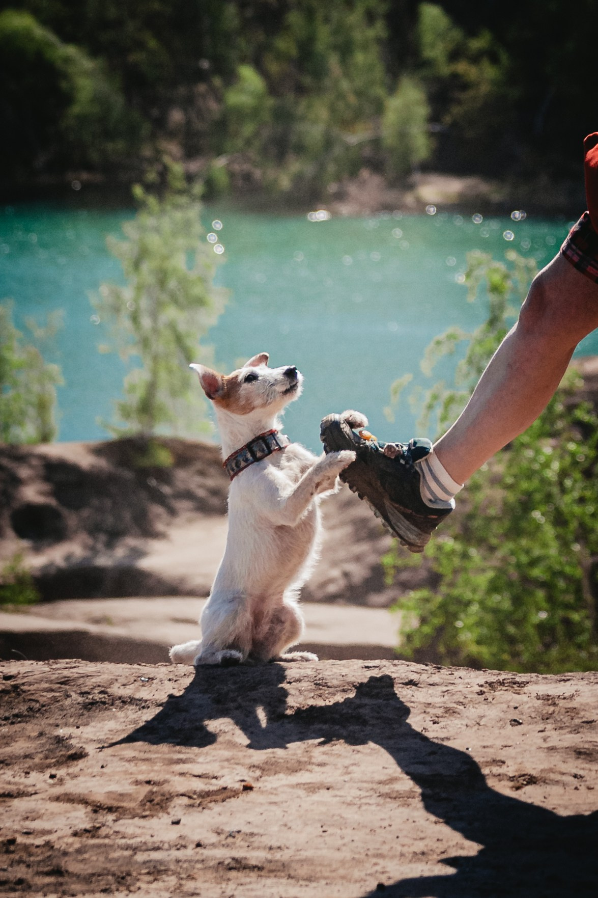 Кондуки. Фотограф-анималист Татьяна Степанова