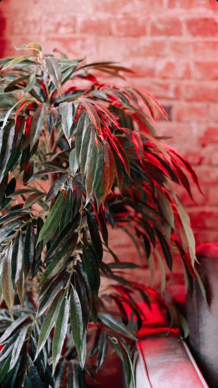 Фотостудия «Block location». Фотограф Нижний Тагил Лилия Савина