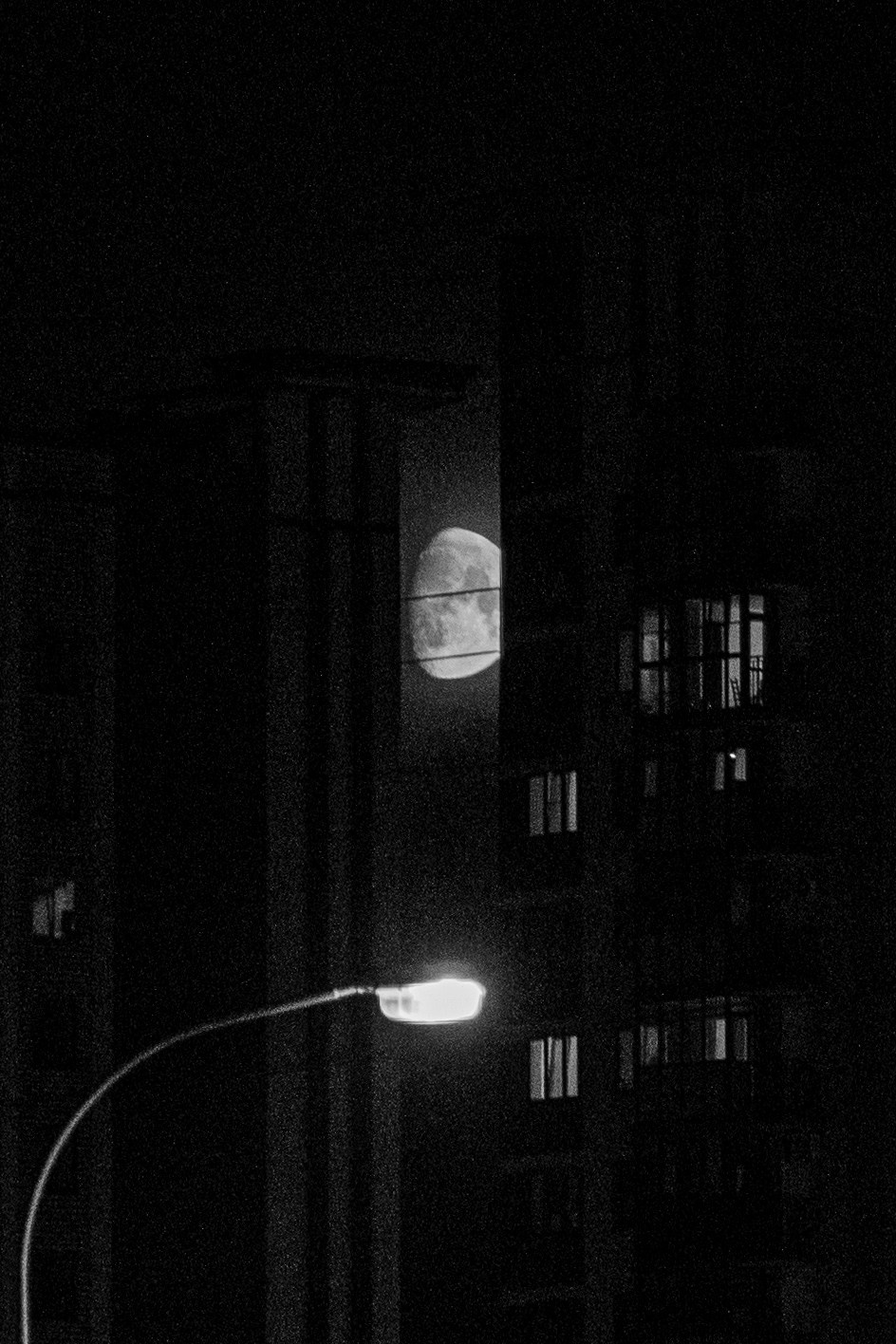 Разное неважное. Фотограф в Москве Алейникова Евгения