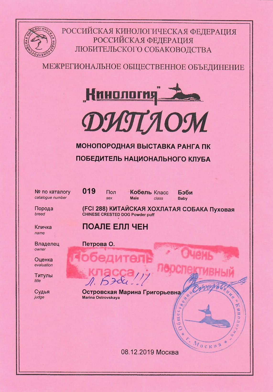 Poale Ell Chen. Chinese Crested Dog Kennel Poale Ell