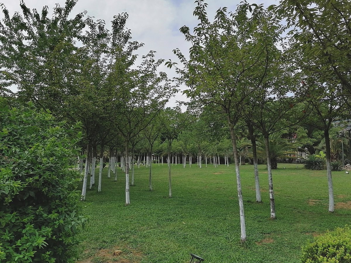 КРАСИВЫЕ МЕСТА В СОЧИ. Свадебный и семейный фотограф/видеограф в Краснодаре Наталья Осинская