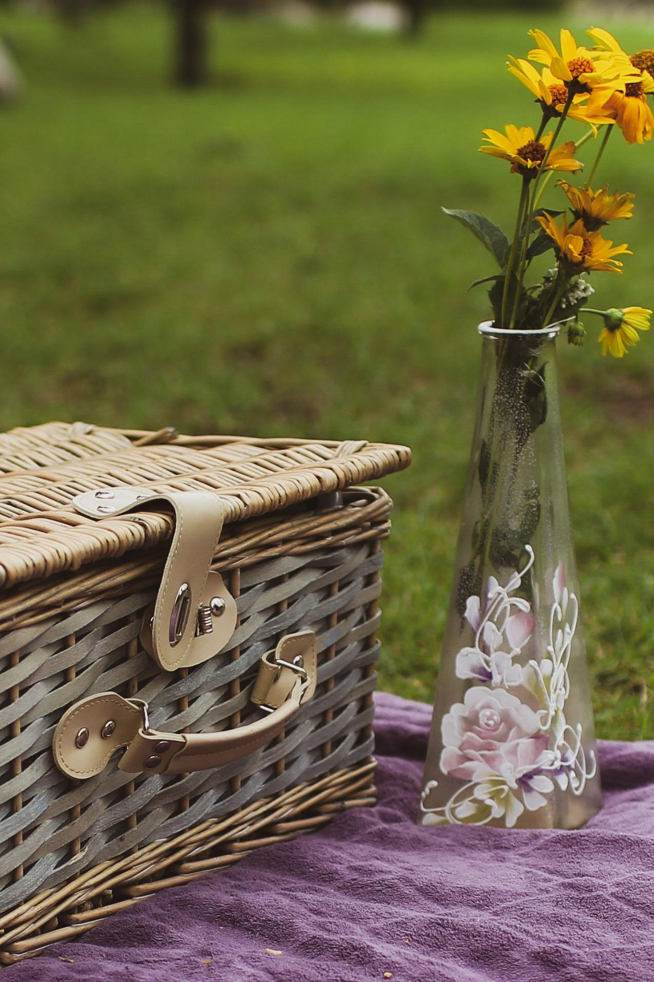 Пикник в парке / Когда вместе хорошо. Фотограф Омск Ольга Гинжул