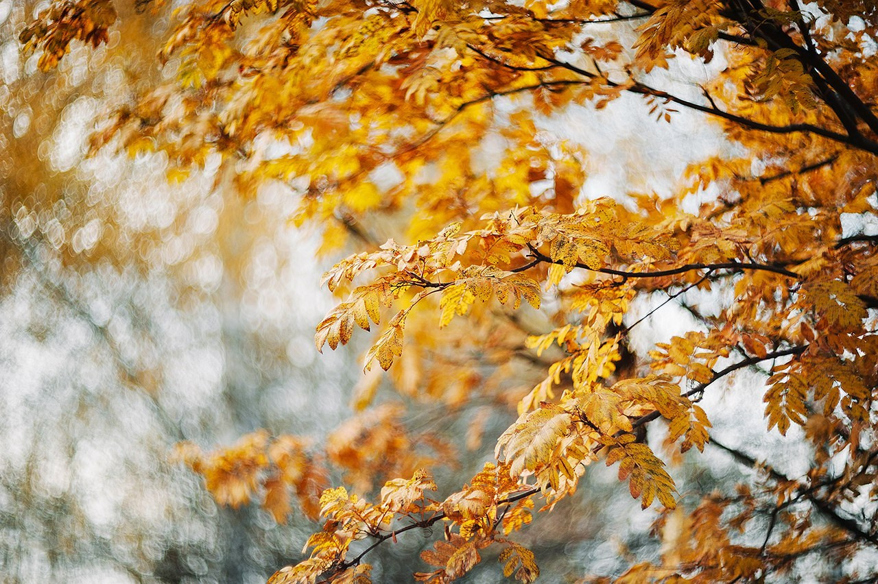 Пейзажи. Свадебный и портретный фотограф в Новом Уренгое Андрей Нелескин