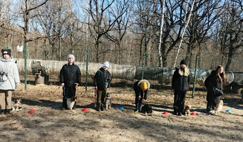Практические занятия по дрессировке. НРОО КЦ "Собаковод"