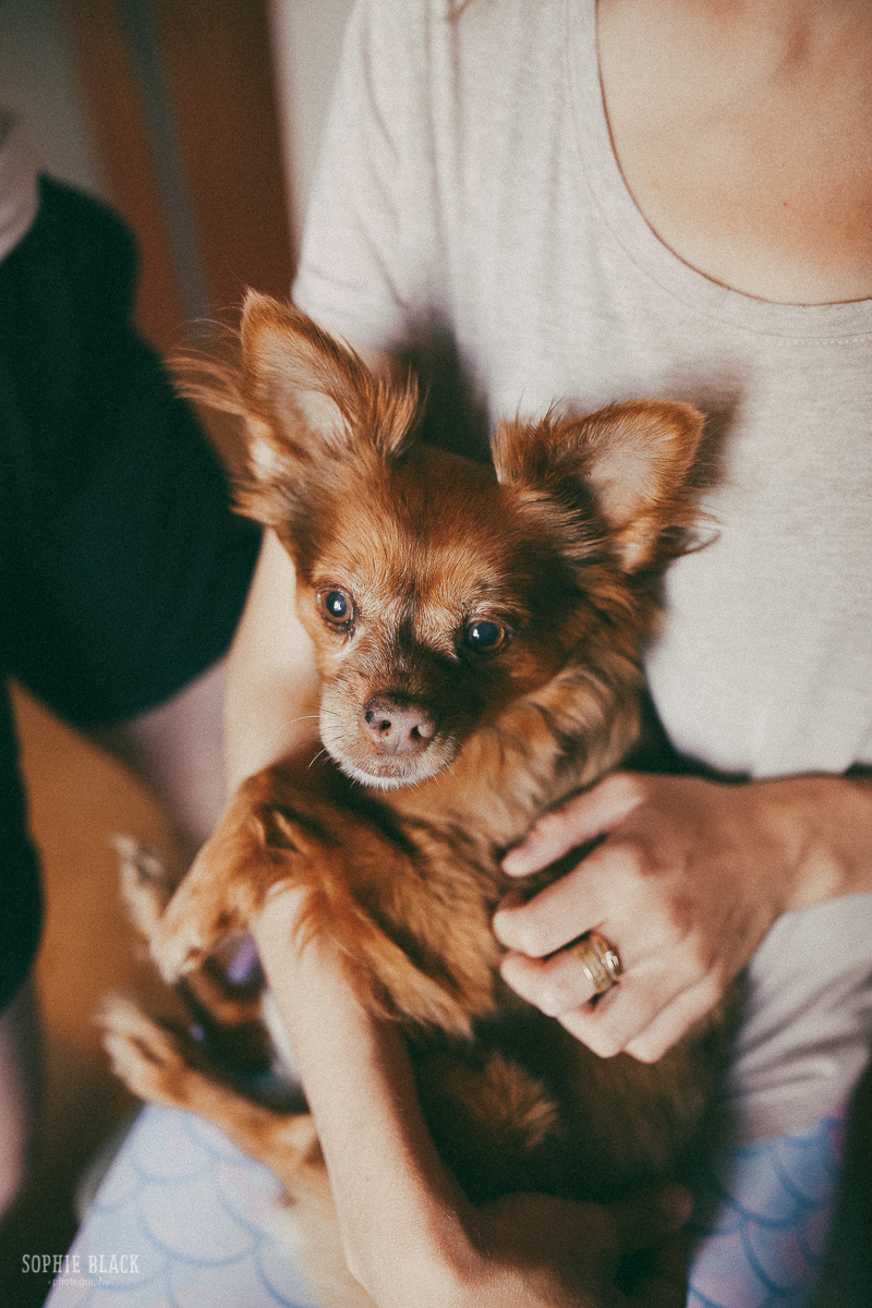 Русалки Леша и Ирина. Соня Черных (sophieblack)