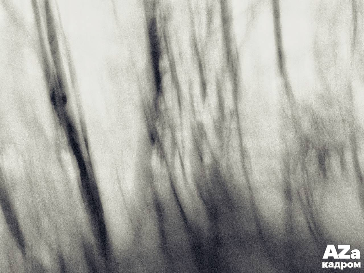 AZакадром «Что для меня дом». Женский семейный фотограф Тула Москва Захарова Анна