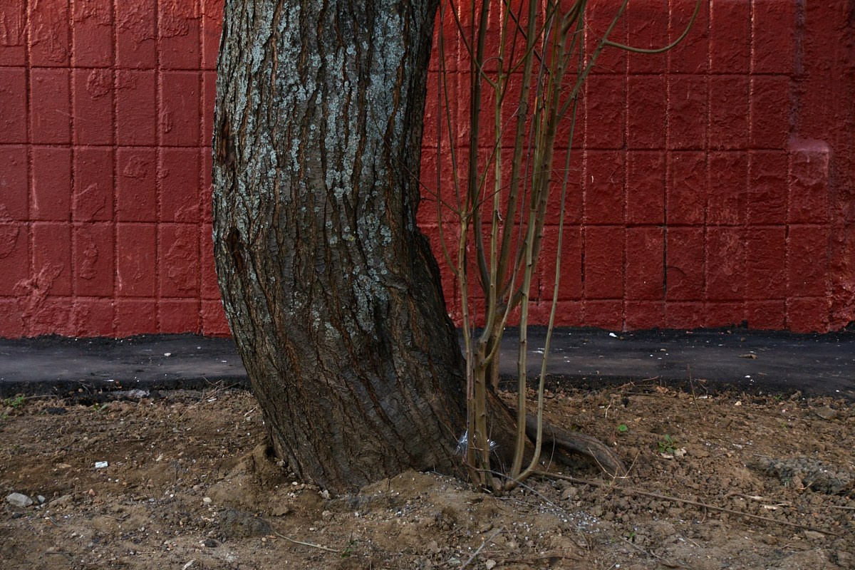 Слово, в котором стерли одну букву. Иван Кобяков