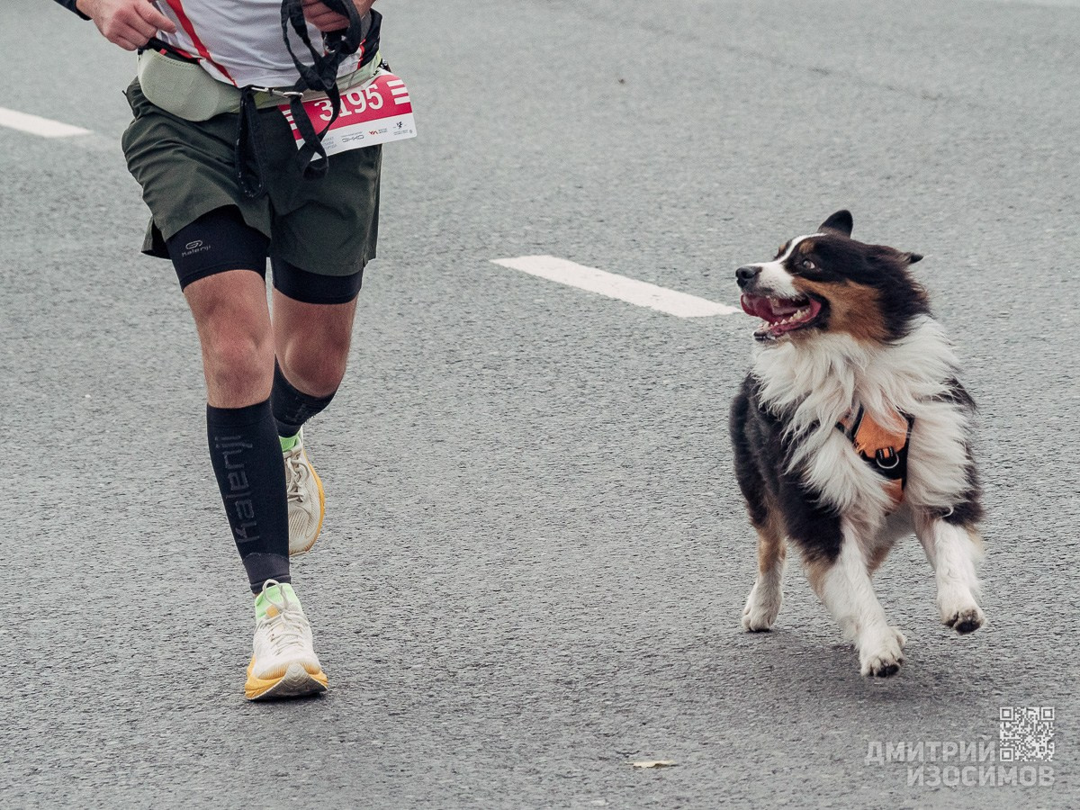 Врата Сибири