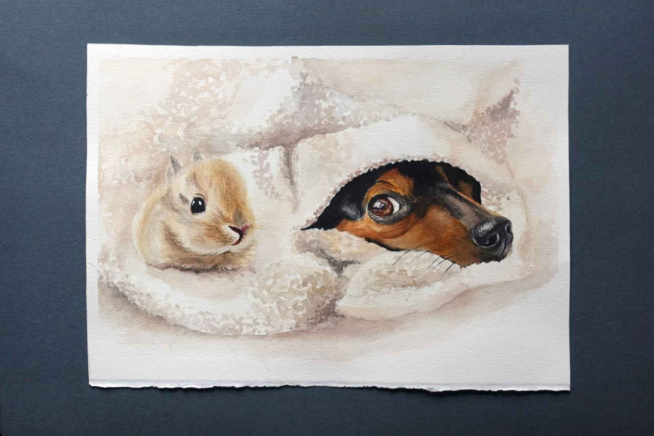 Маскировка