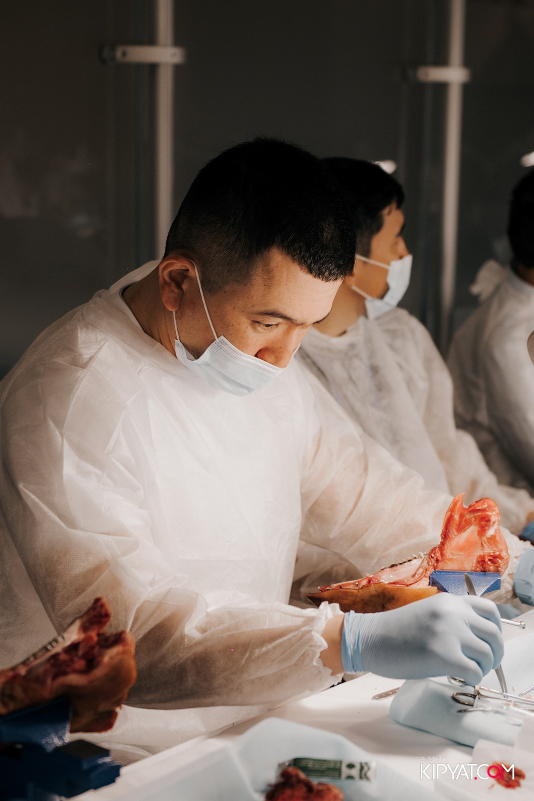 КУРС ДЛЯ СТОМАТОЛОГОВ ОСЛОЖНЕНИЯ В ХИРУРГИЧЕСКОЙ ПРАКТИКЕ КТО ВИНОВАТ И ЧТО ДЕЛАТЬ. КИПЯТКОМ АЛМАТЫ!