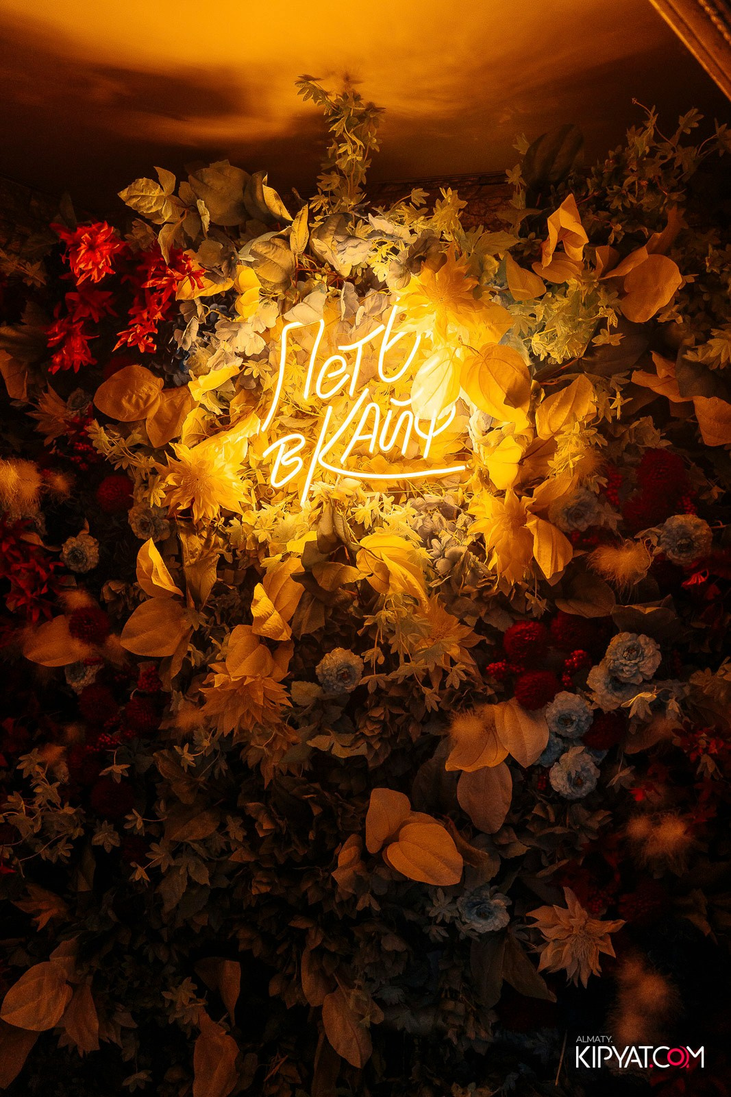 УХО И МЕДВЕДЬ НА ГАГАРИНА. КИПЯТКОМ АЛМАТЫ! Фотосъемка мероприятий в Алматы