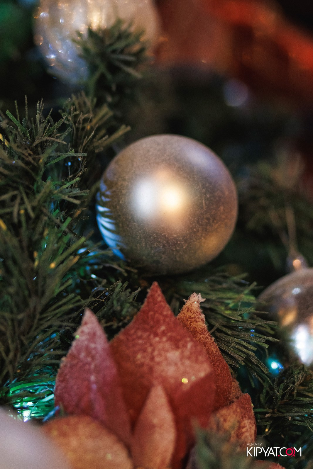 BLA BLA BAR. КИПЯТКОМ АЛМАТЫ!