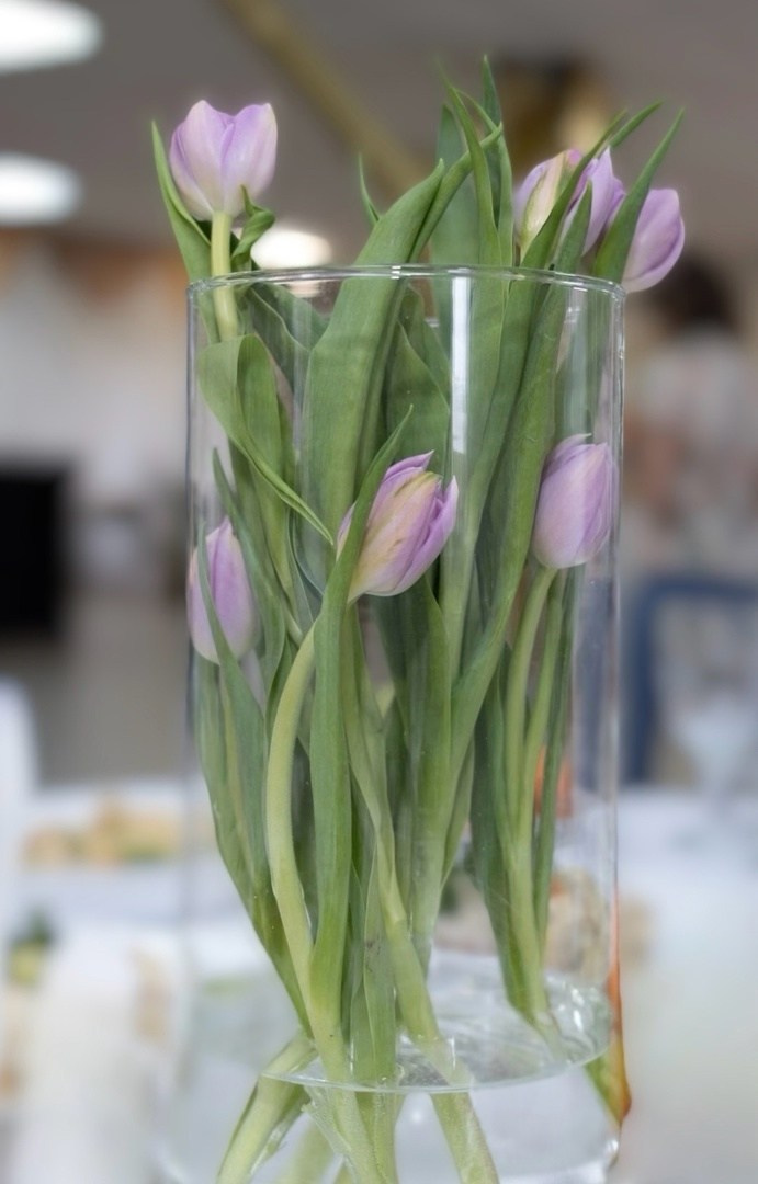 Дыхание весны. Организация свадеб под ключ в Архангельске и Северодвинске