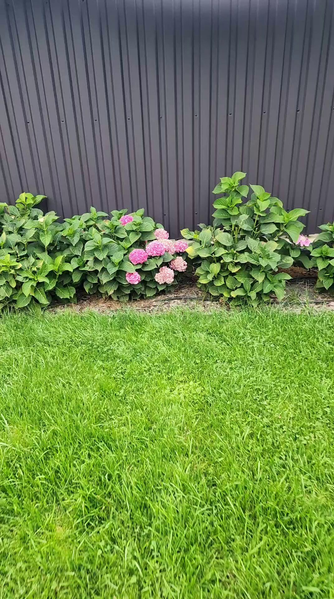 Участок Оксана. Дизайн интерьера, мебели и ландшафта на КМВ | OXY Design