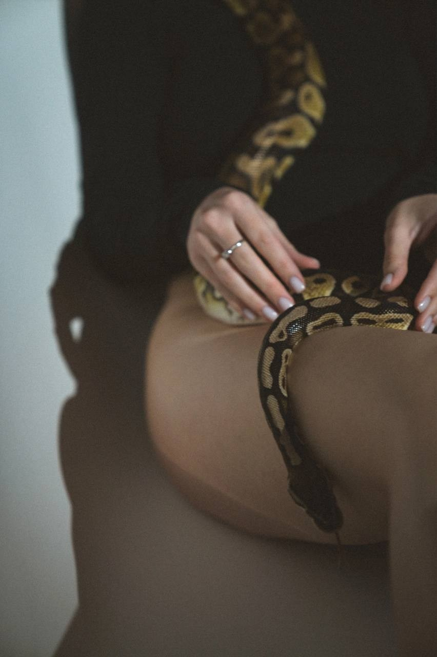 Портретные