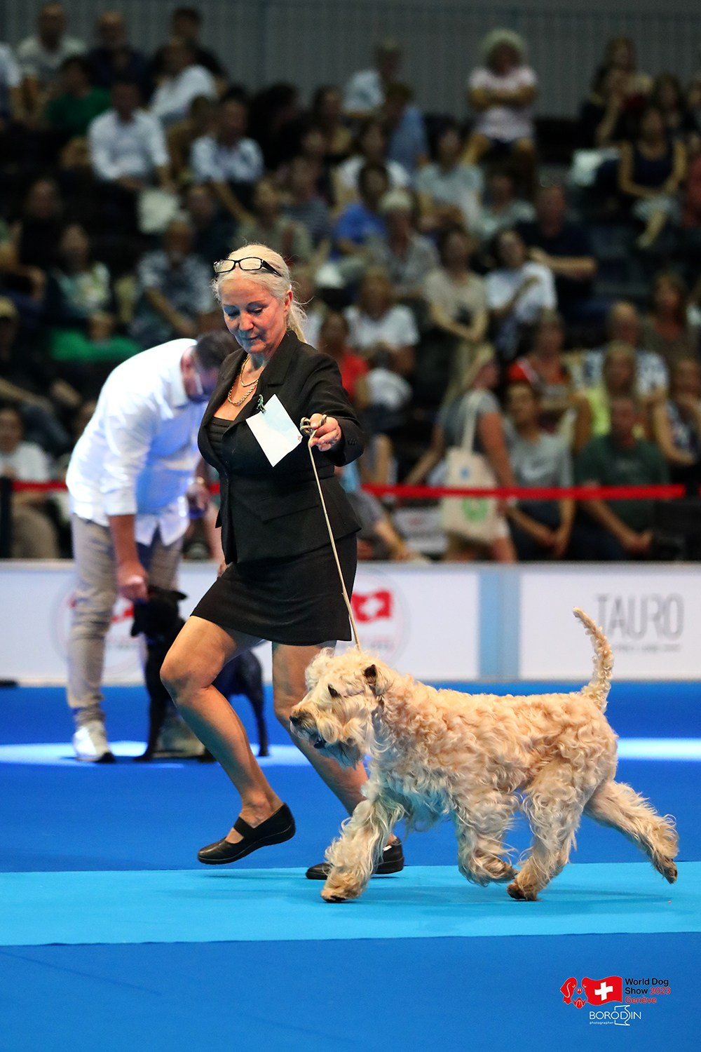 24-27.08.2023 WDS Geneva. Фотограф Дмитрий Бородин