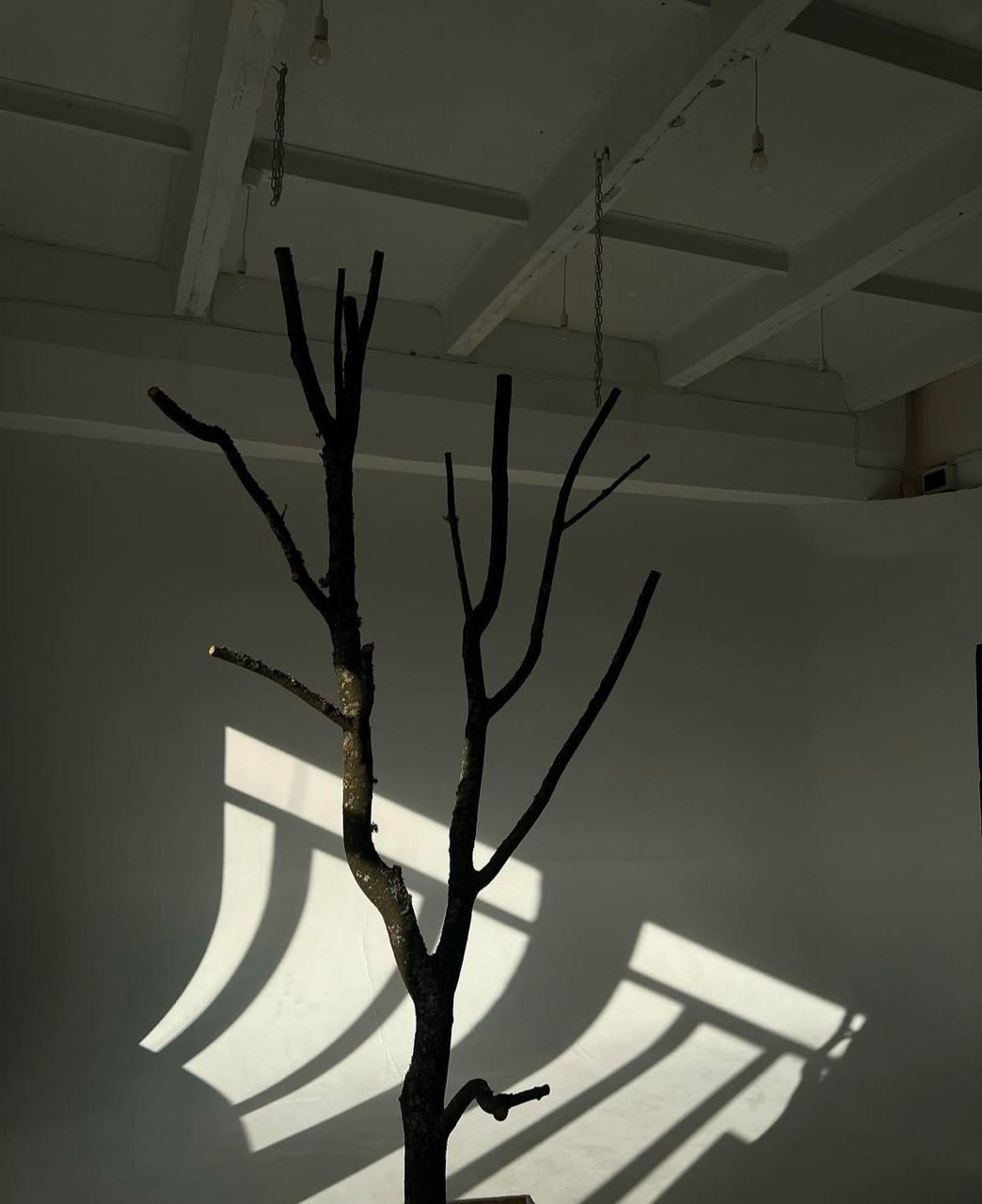 WHITE CROW. Портретный фотограф Павлова Светлана / Брянск /