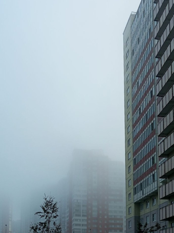 Красуйся, град Петров!. Фотокружок «Видоискатель» ГБОУ СОШ № 291