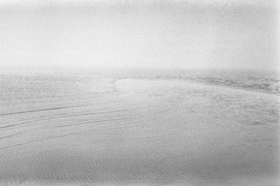 Summer Shore. Vitaly Severov