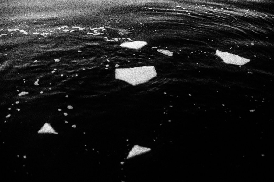 Summer Shore. Vitaly Severov