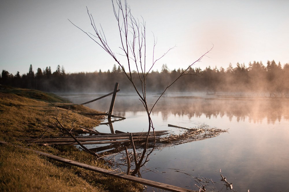 Персональные съемки. Александра Кузьменко — стилист, фотограф, креативный продюсер
