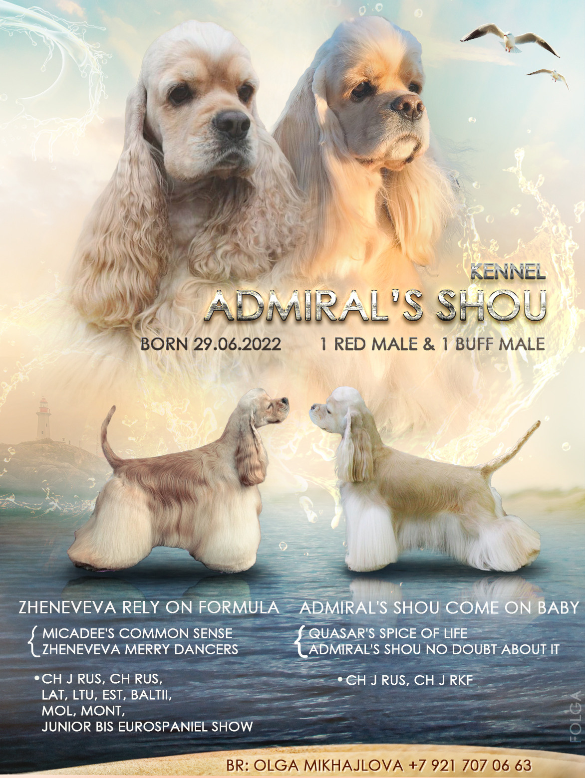 ПРЕЗЕНТАЦИИ. Фотограф-анималист Ольга Фомичева