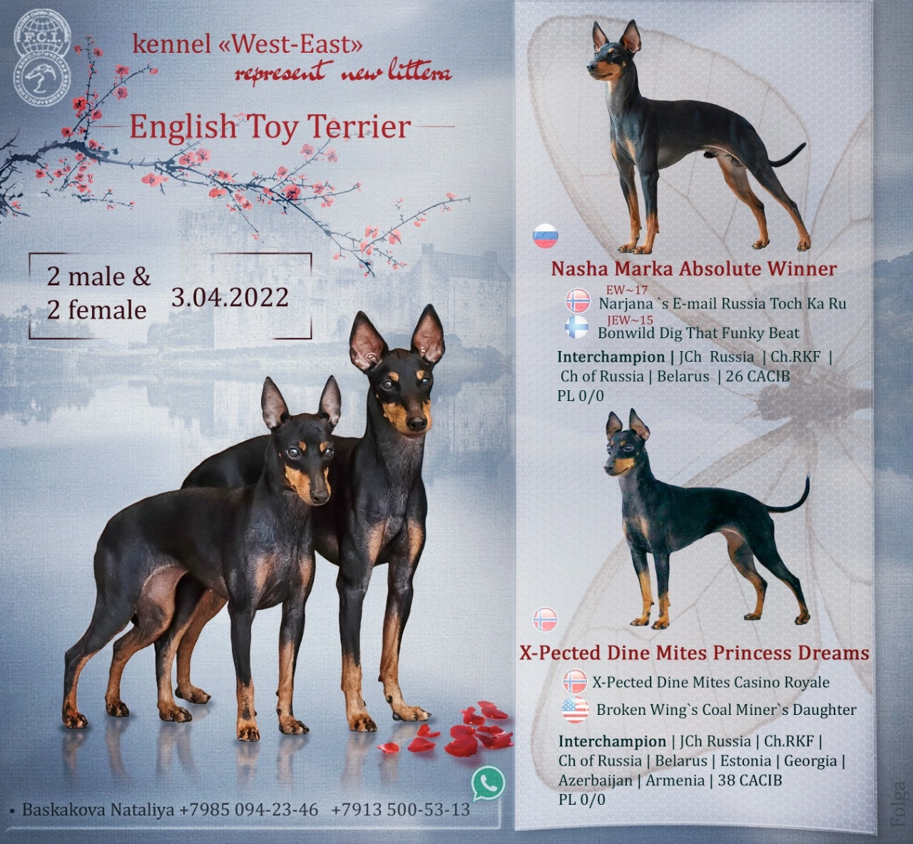 ПРЕЗЕНТАЦИИ. Фотограф-анималист Ольга Фомичева