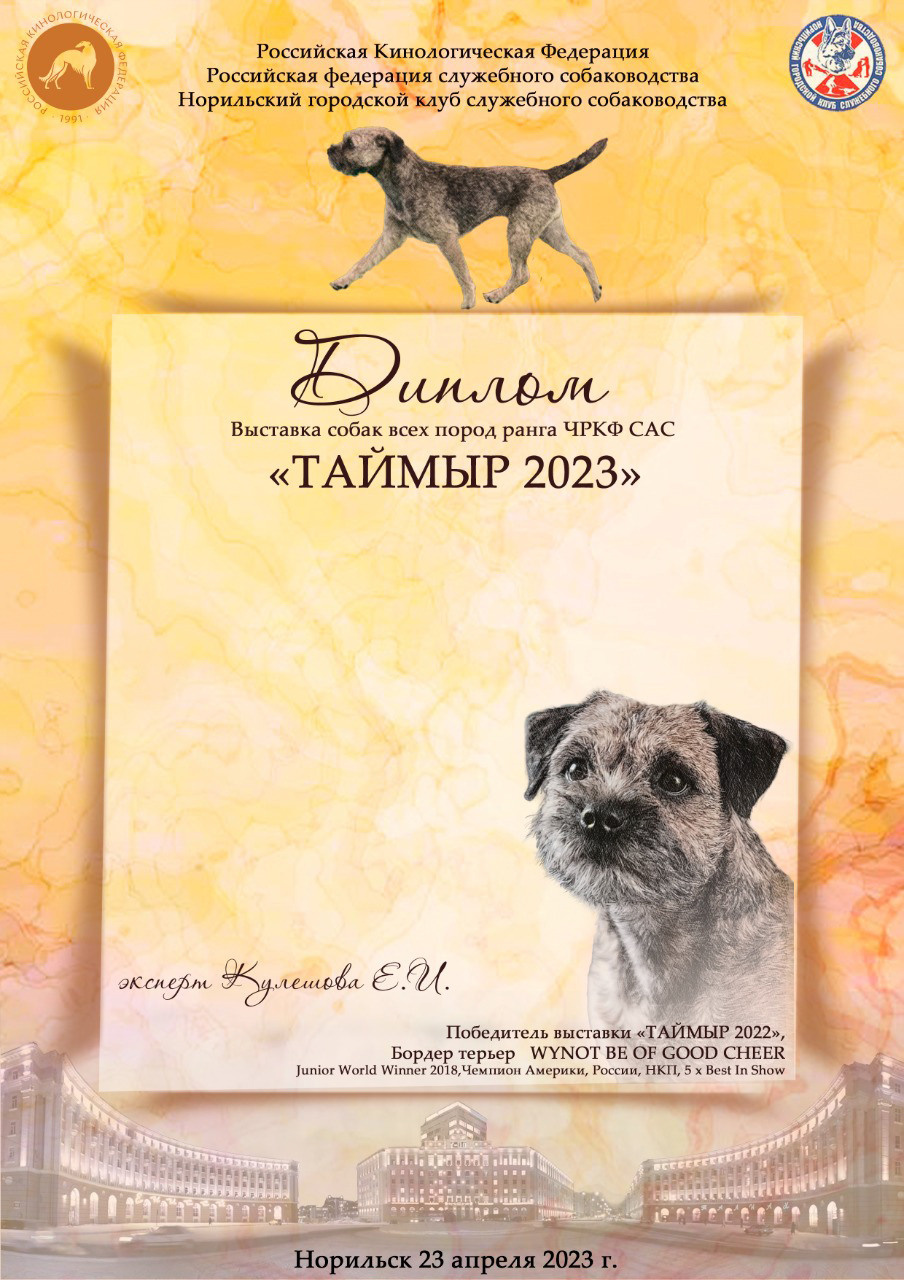 ПРЕЗЕНТАЦИИ. Фотограф-анималист Ольга Фомичева