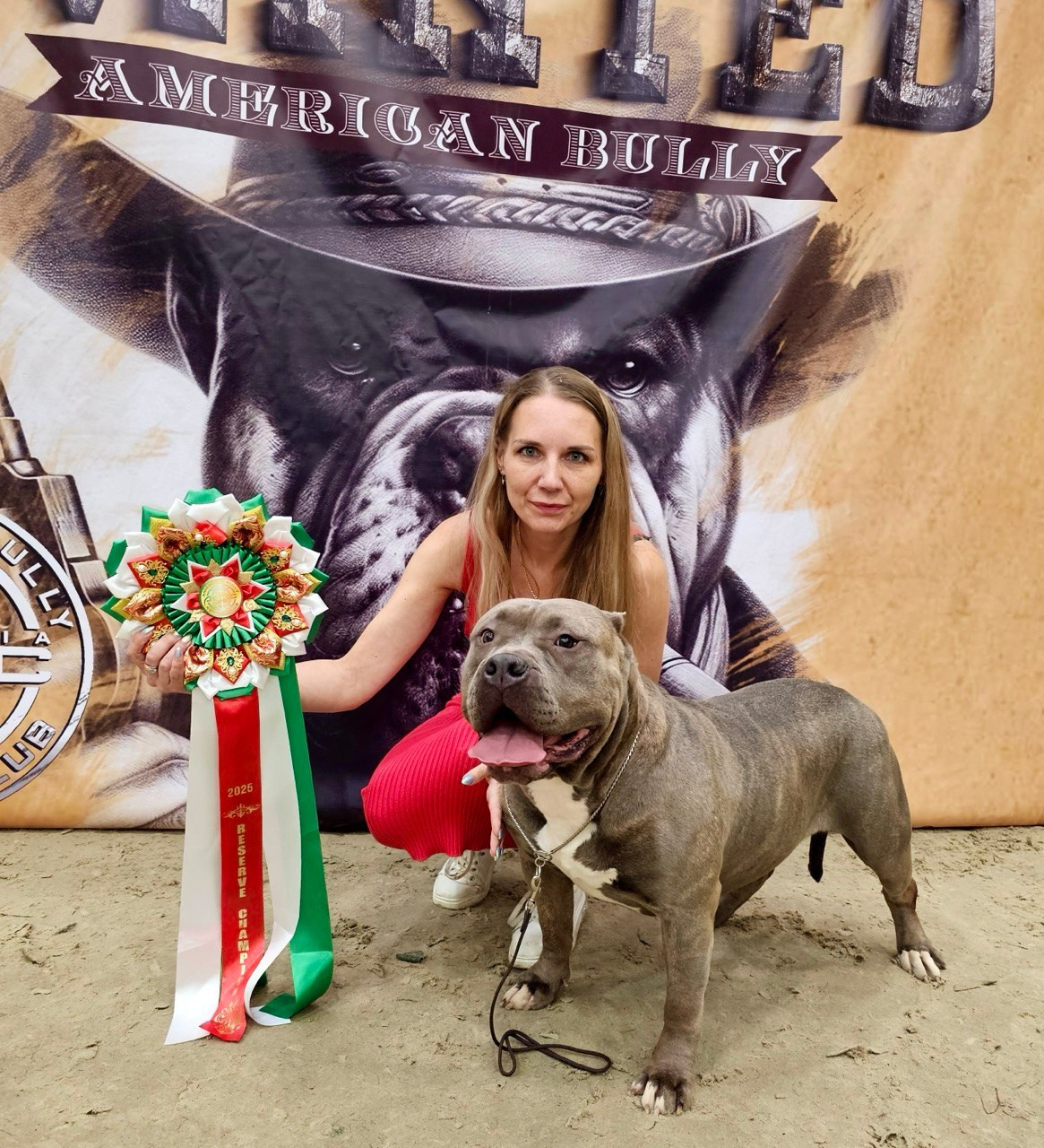 Участие в выставках. Американские булли XL в г. Калининград. Питомник Great Bully UNIVERSE